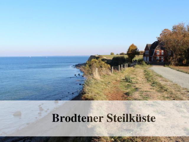 Waldstrandnest Mit Weitblick 티멘도르프스트랜드 외부 사진